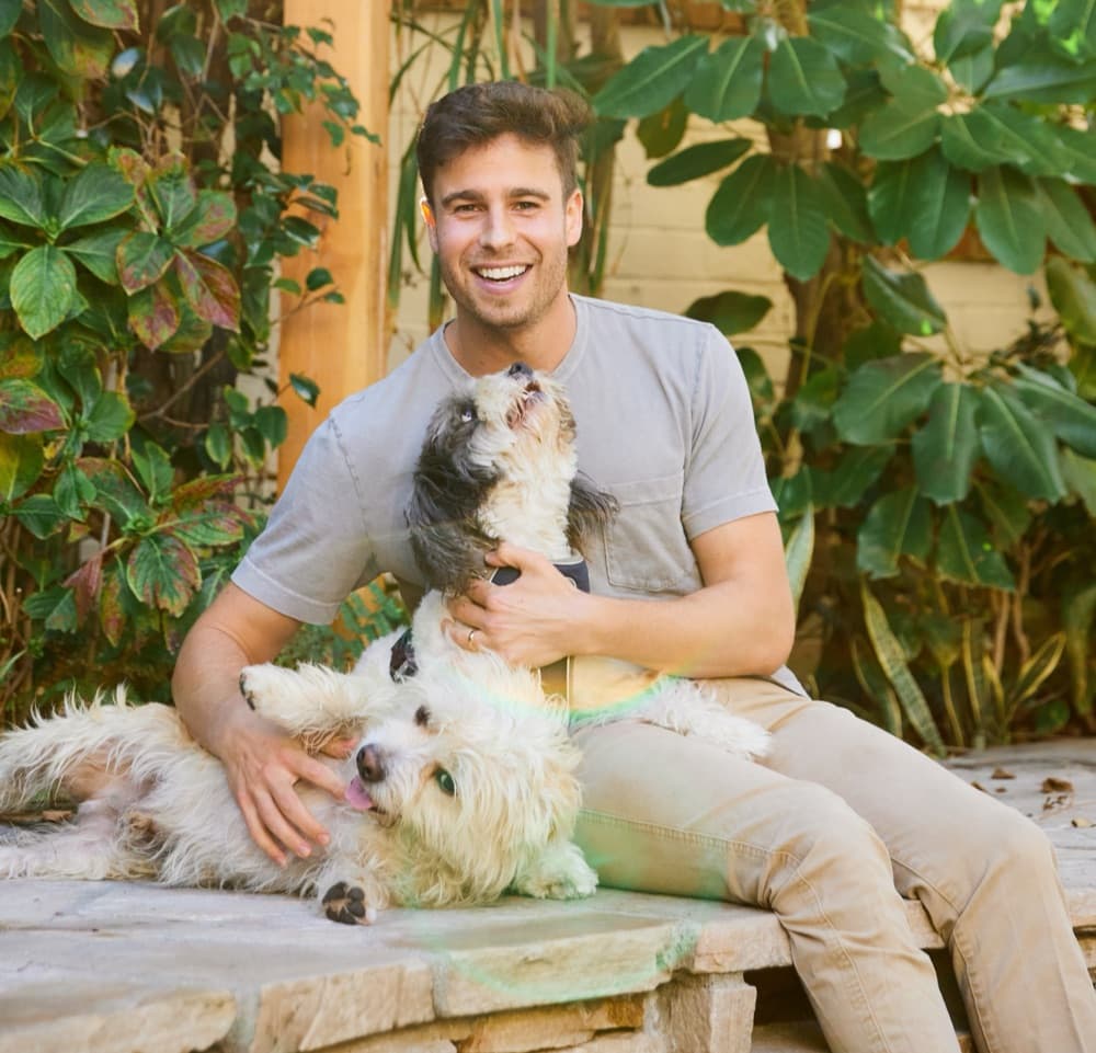 Brandon Werber, Airvet founder