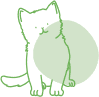 Siamese Cat