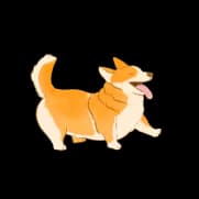 Corgi