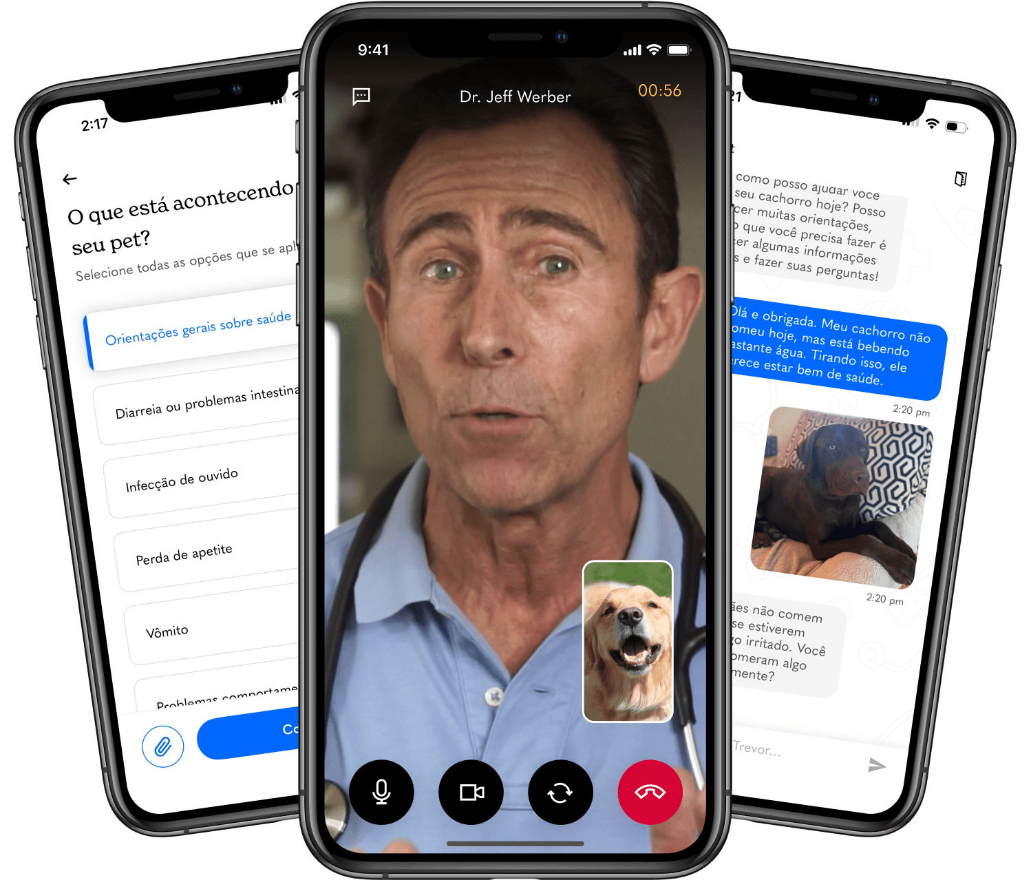 Helping dogs with pet telehealth