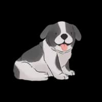 Small Puppy